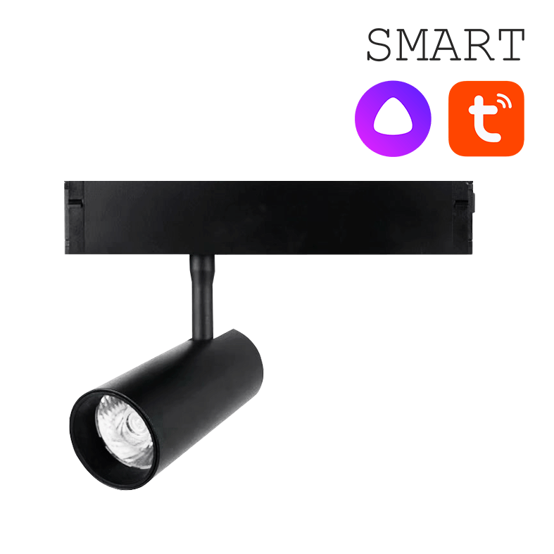 Светильник COLIBRI SMART RIO 12В 2700K-6000K Чёрный трековый
