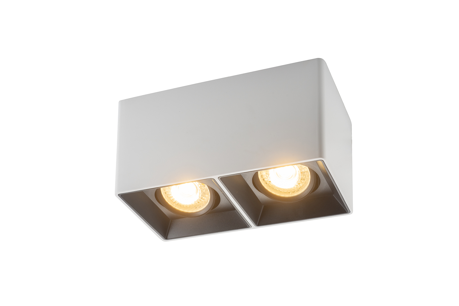 Светильник Denkirs DK3035-WB точечный накладной