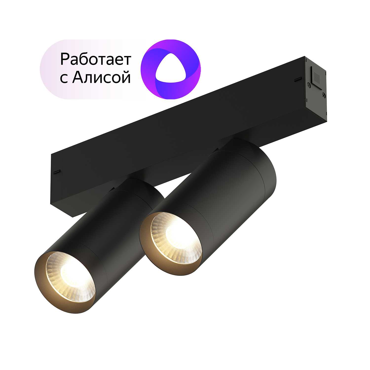 Светильник Denkirs DK8012-BK 18W DIM 3000-6000K