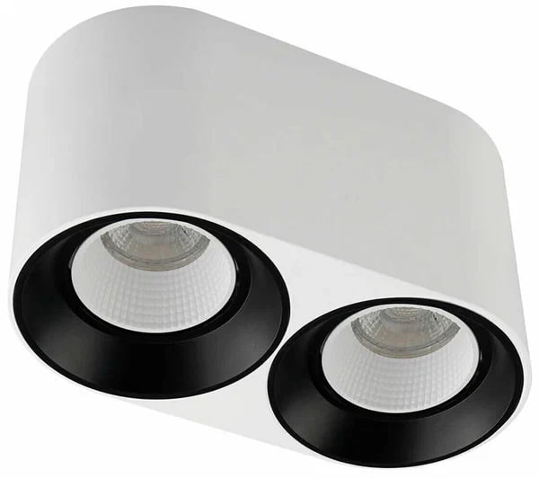 Светильник Denkirs DK3096-WB+WH точечный накладной