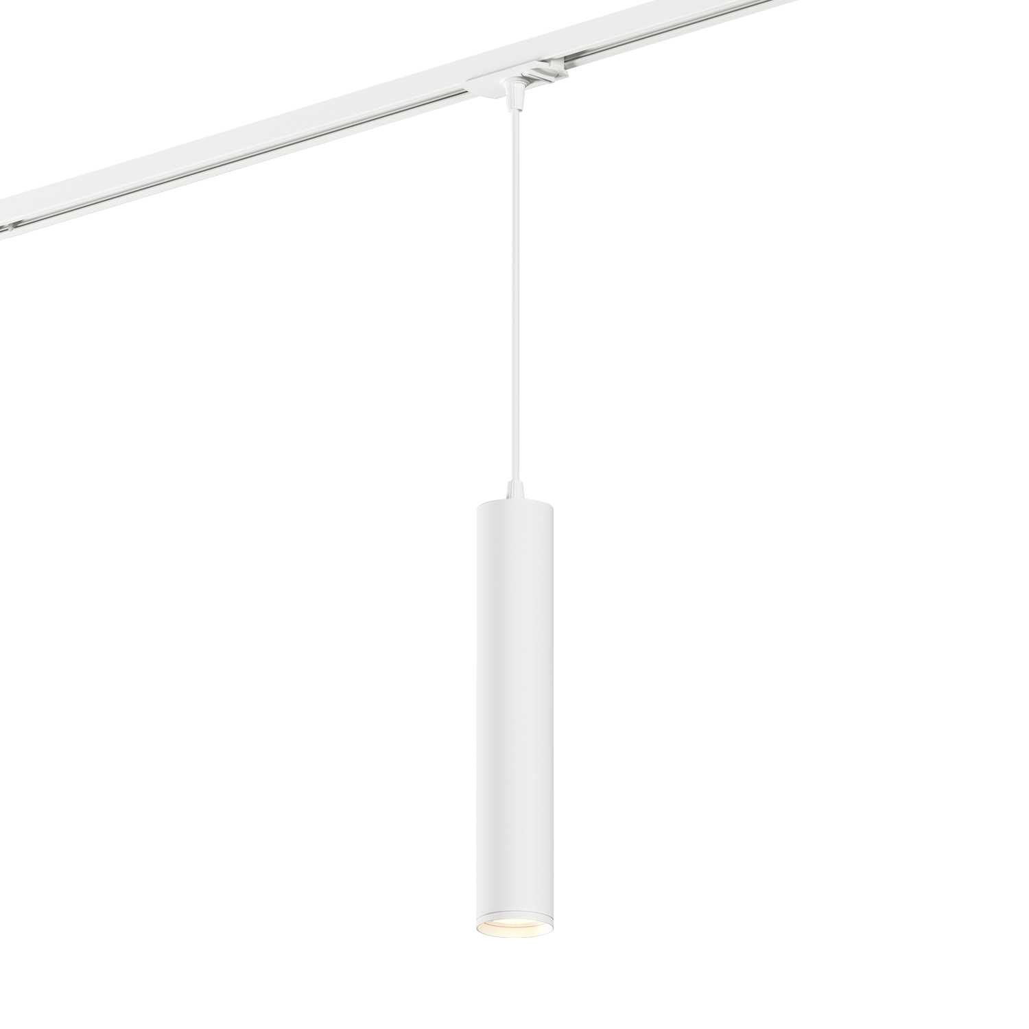 Светильник Denkirs DK6210-WH Белый трековый