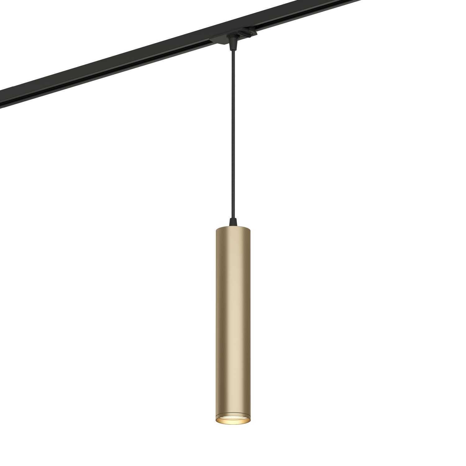 Светильник Denkirs DK6210-BG Чёрное-золото трековый
