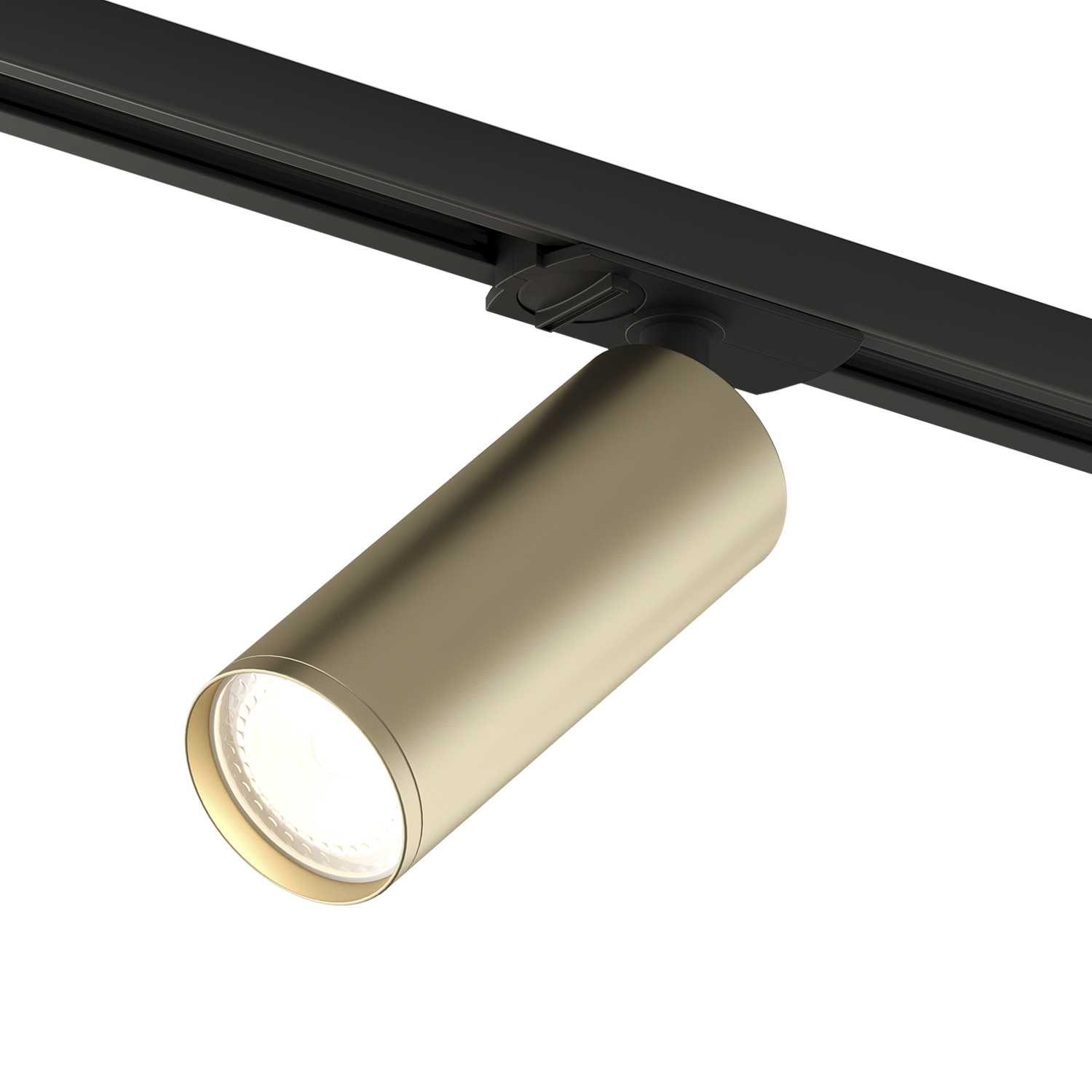 Светильник Denkirs DK6202-BG Чёрно-золотой трековый