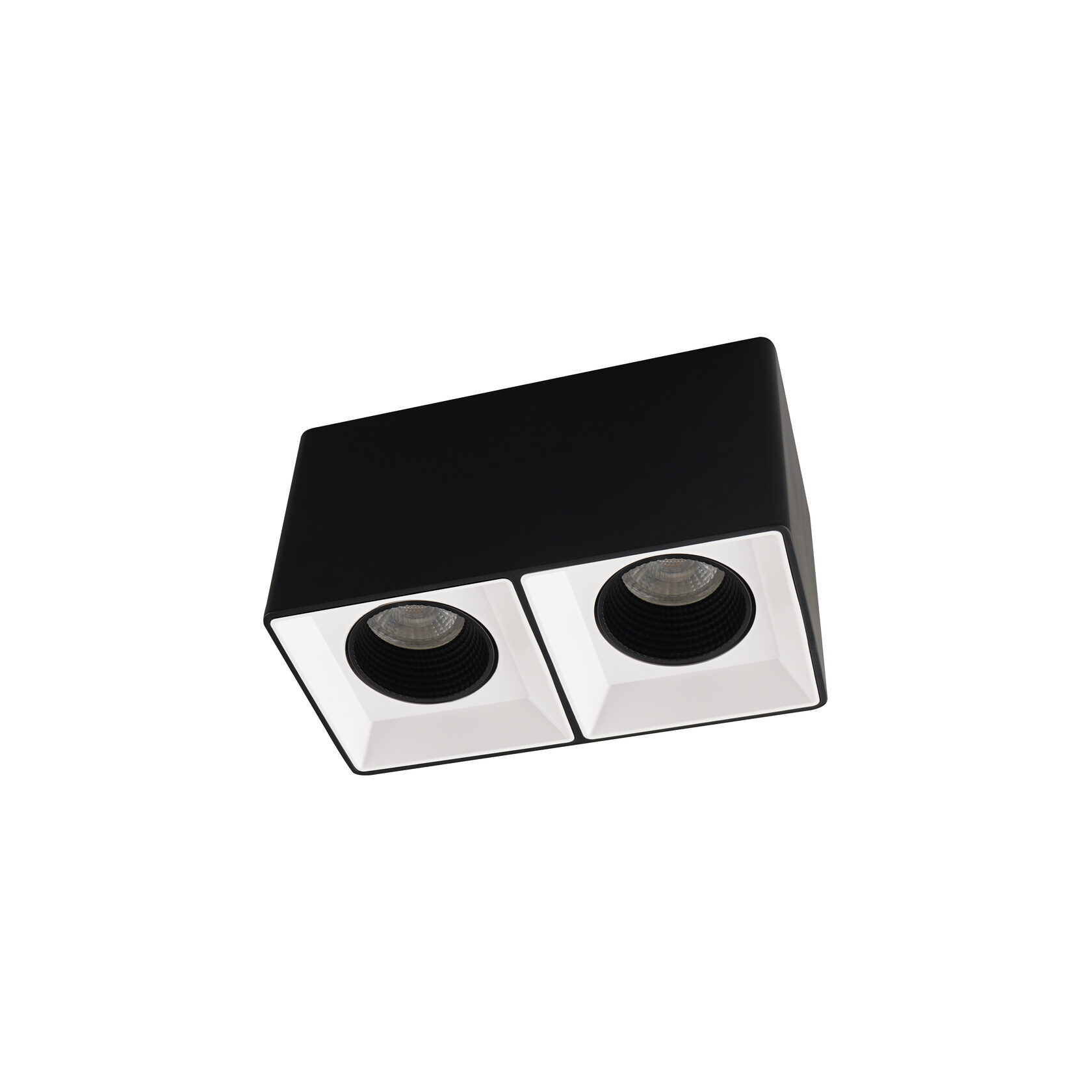 Светильник Denkirs DK3085-BW+BK точечный накладной