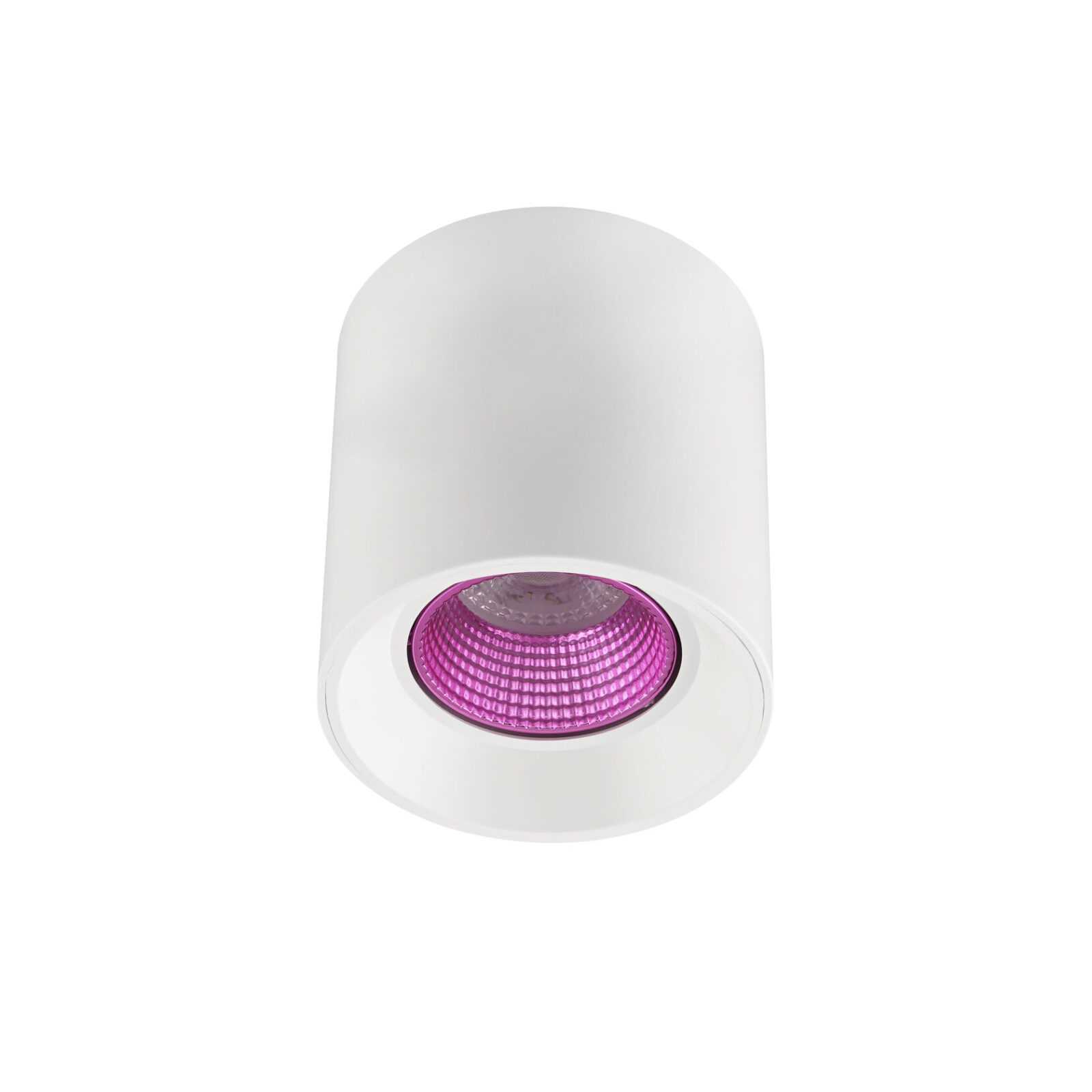 Светильник Denkirs DK3090-WH+PI точечный накладной