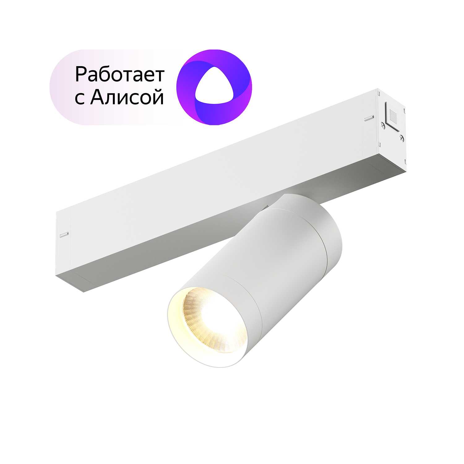 Светильник Denkirs DK8010-WH белый трековый
