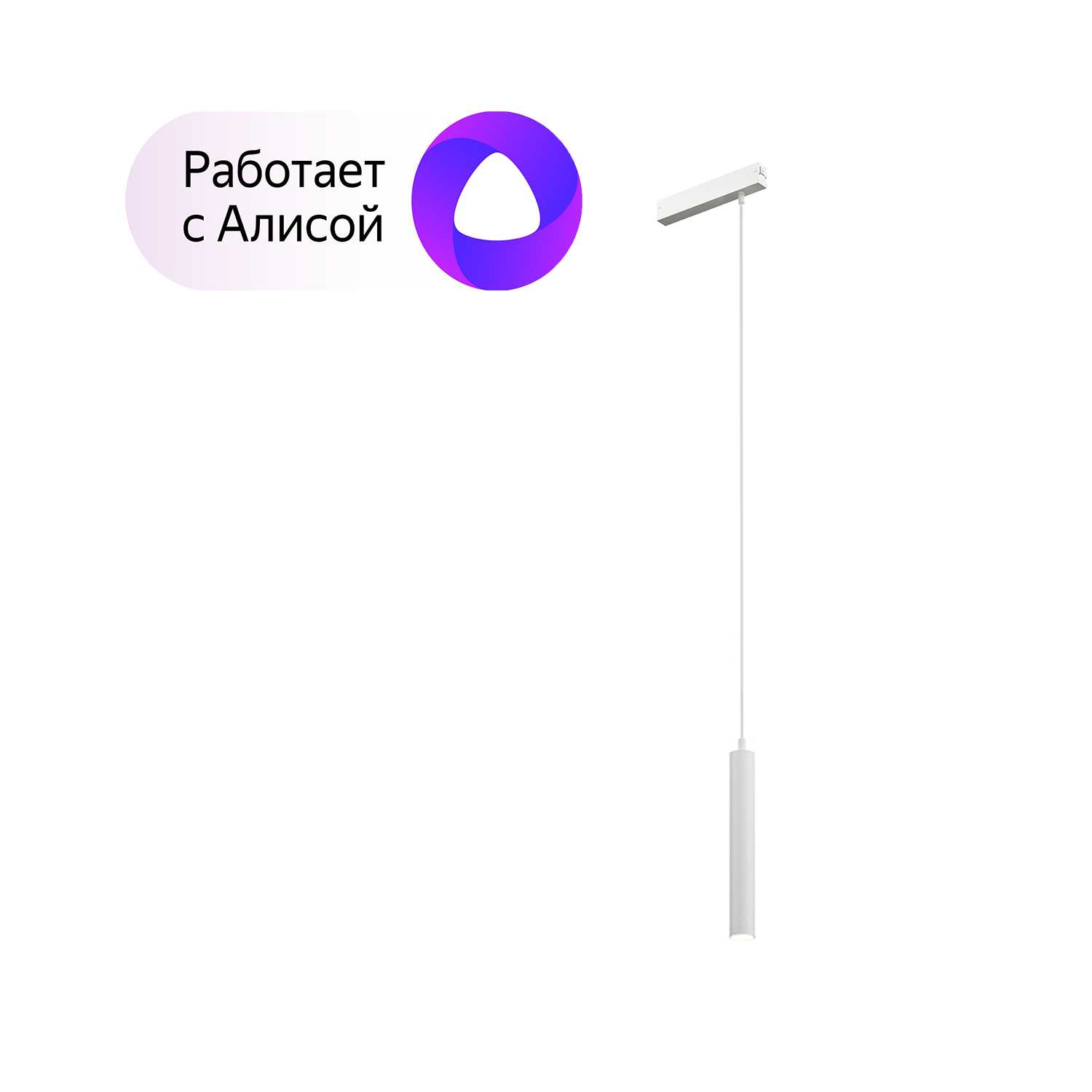 Светильник Denkirs DK8008-WH белый трековый