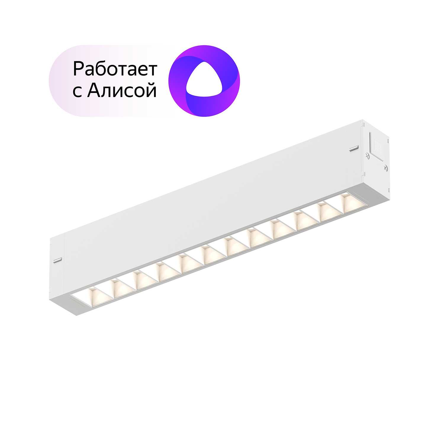 Светильник Denkirs DK8001-WH белый трековый