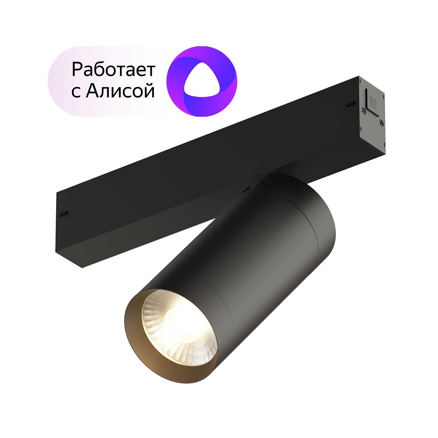 Светильник Denkirs DK8020-BG чёрно-золотой трековый