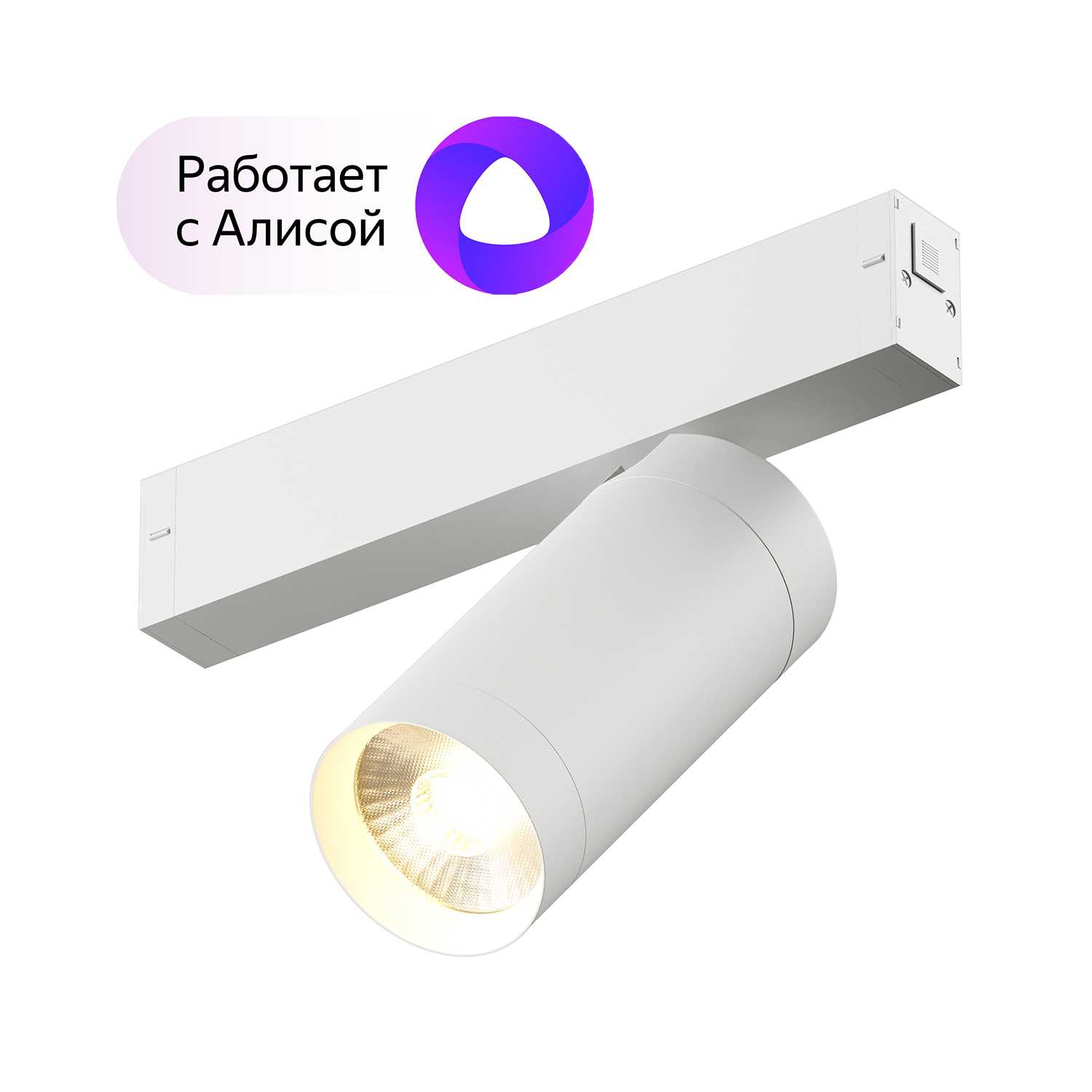 Светильник Denkirs DK8020-WH белый трековый